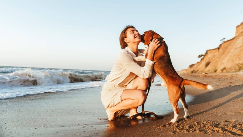 Pet-Friendly Beaches
