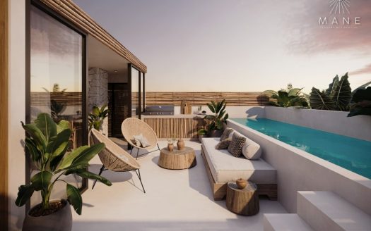 Mane 2 Bedroom Penthouse