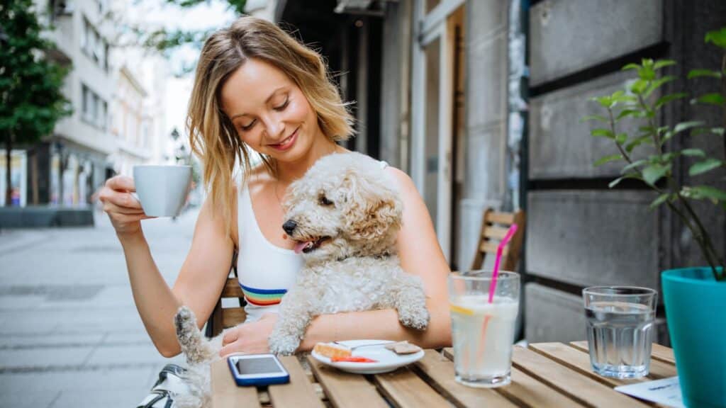 Pet-Friendly Cafés and Restaurants