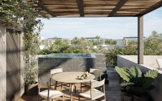 Waye 1 Bedroom Penthouse